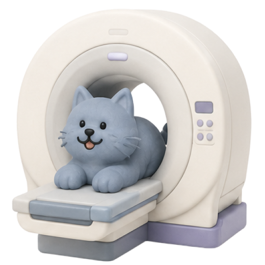 고양이 2번 이미지