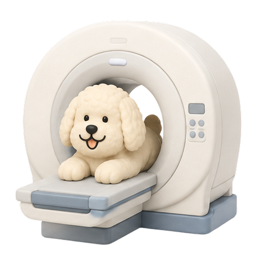 강아지 3번 이미지